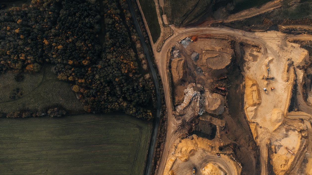 clearing trees with excavator