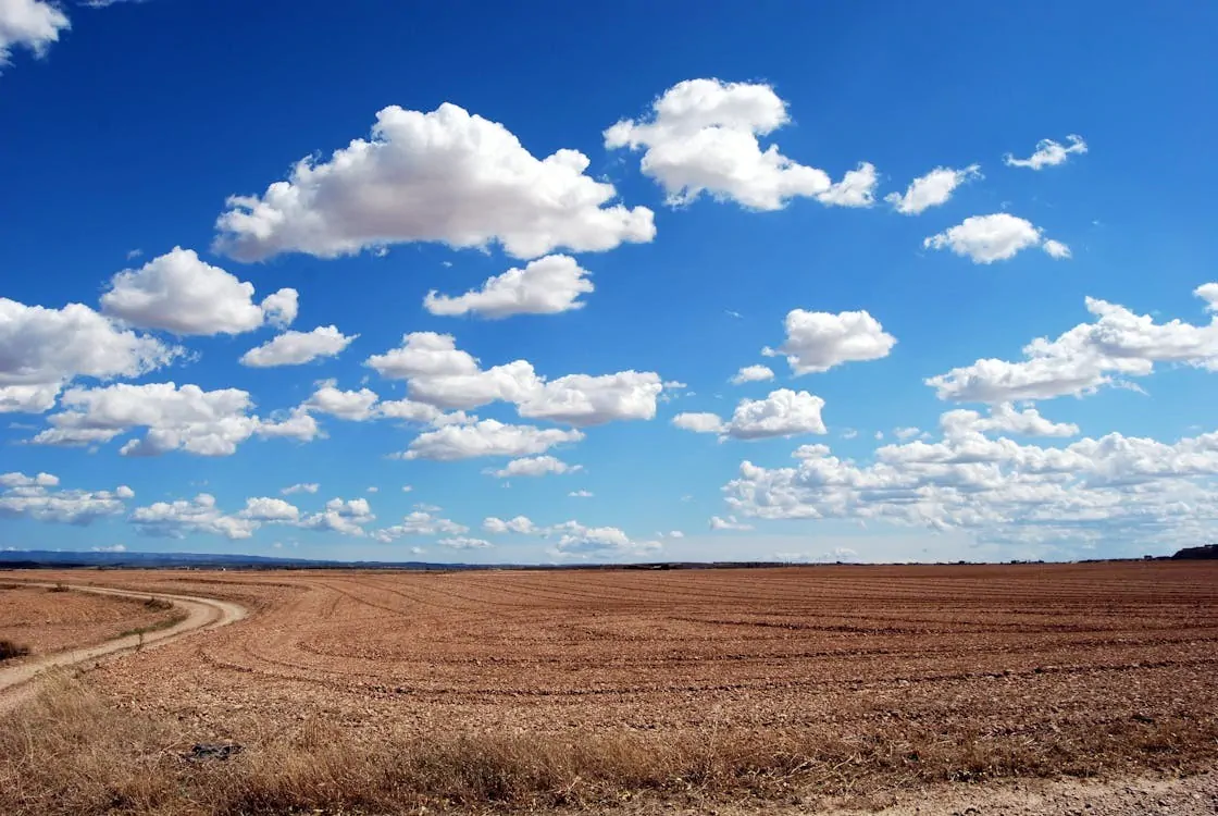 earth moving contractor in Toowoomba