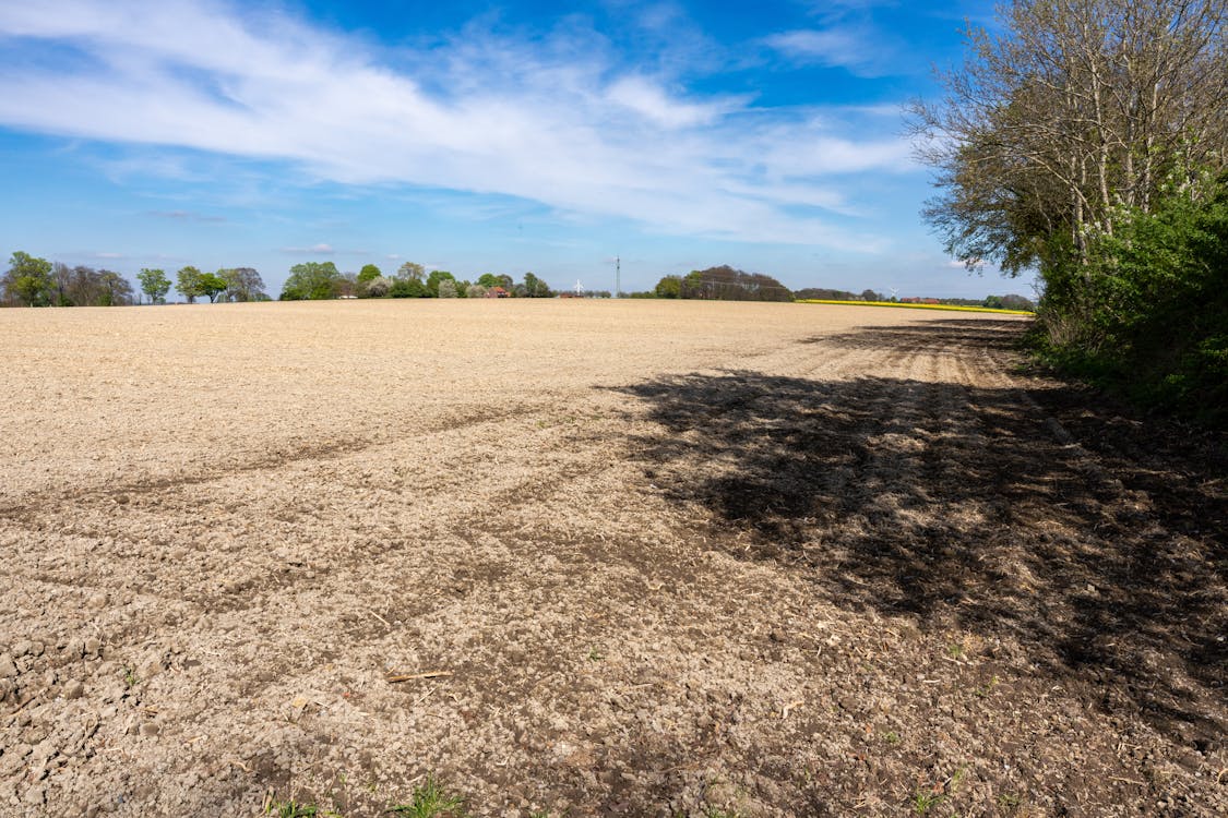 earthmoving - land clearing for argiculture