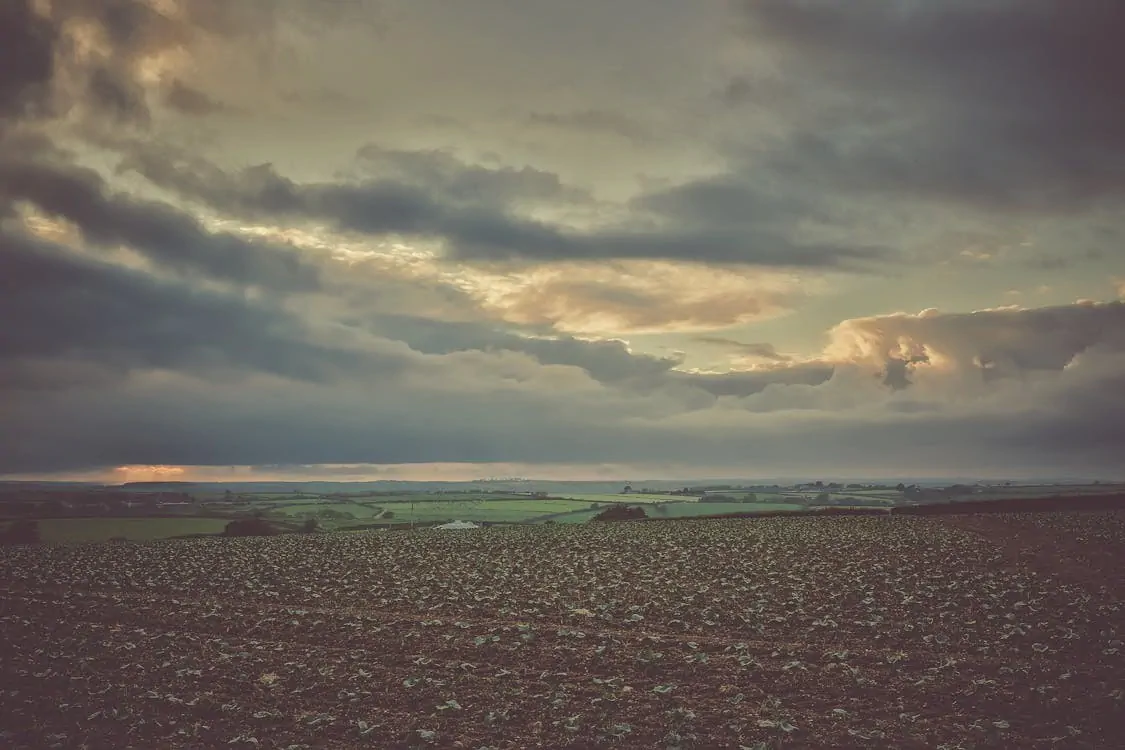 Laws for land clearing for agriculture needs